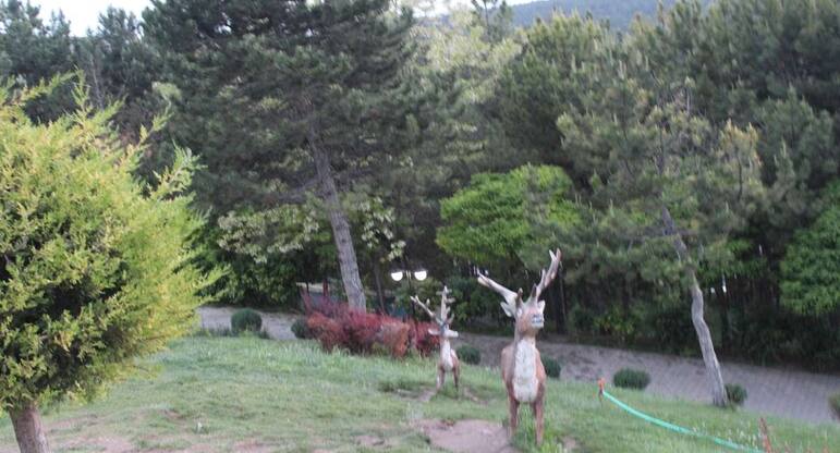 selale park restaurant cafe photos pictures of selale park restaurant cafe eskisehir zomato